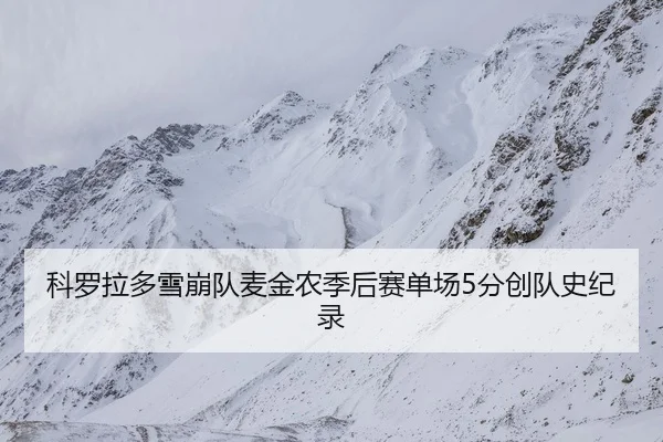 科罗拉多雪崩队麦金农季后赛单场5分创队史纪录