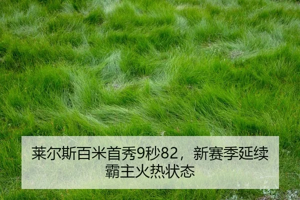 lai-er-si-bai-mi-shou-xiu-miao-xin-sai-ji-yan-xu-ba-zhu-huo-re-zhuang-tai-3-133.jpg