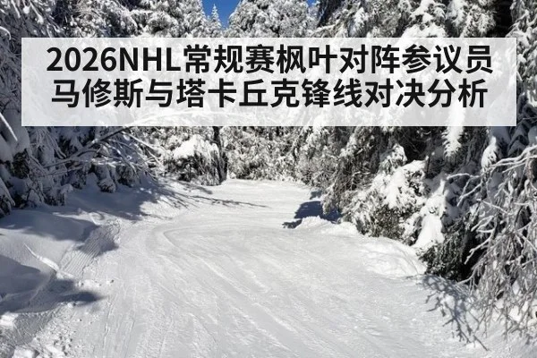 2026NHL常规赛枫叶对阵参议员马修斯与塔卡丘克锋线对决分析